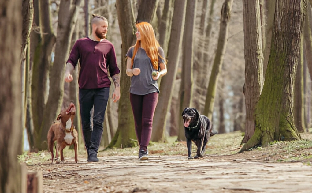 Dogs as Fitness Partners