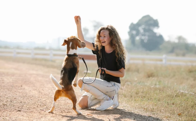 Pets Improve Your Mental Health